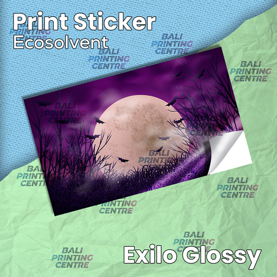 Print ST Exilo Glossy