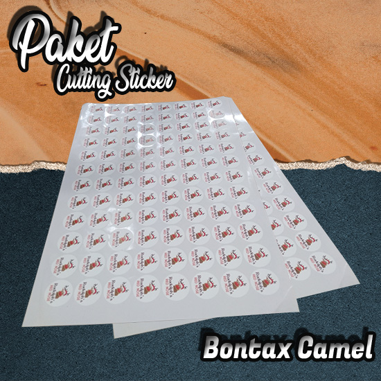 Paket Cutting Bontak Camel