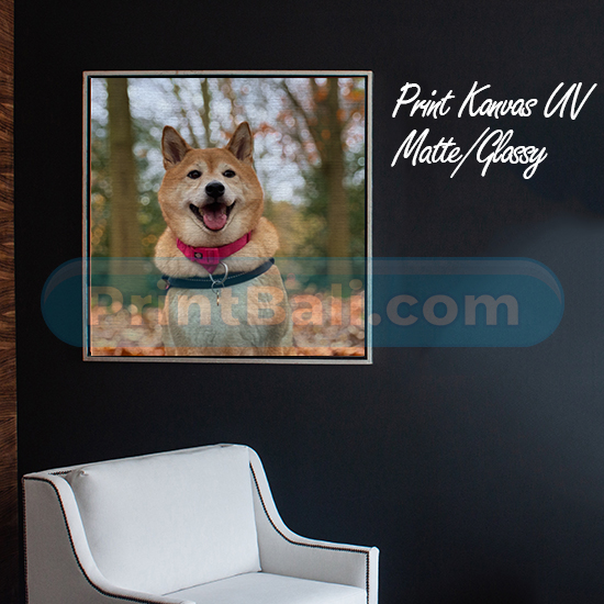 Print Kanvas Glossy/Matte UV